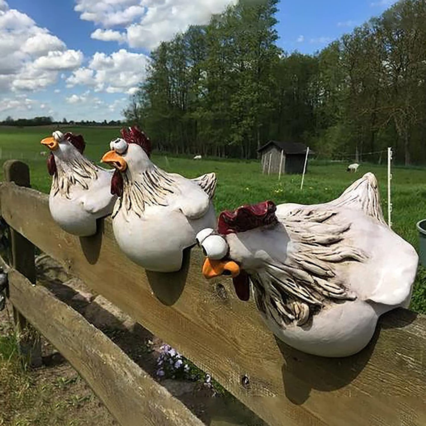 🔥Funny Chicken Garden Fence Decoration