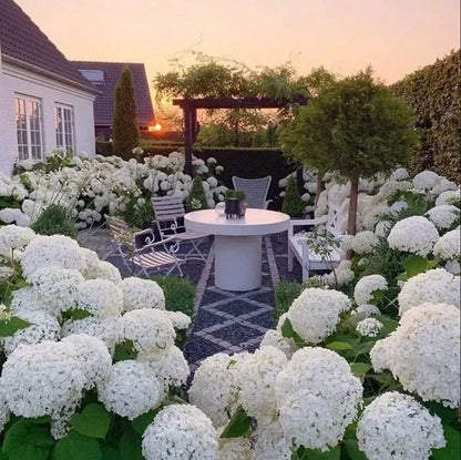 Outdoor Artificial Hydrangea Flowers💐